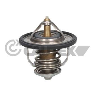 Thermostat, liquide de refroidissement CAUTEX OEM 2550027000