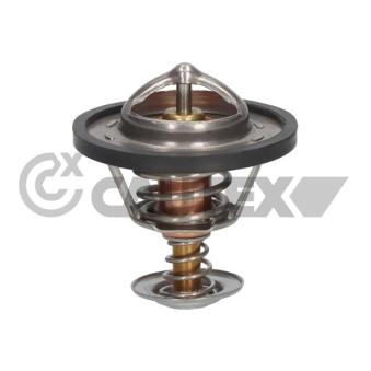 Thermostat, liquide de refroidissement CAUTEX OEM 1767077E10