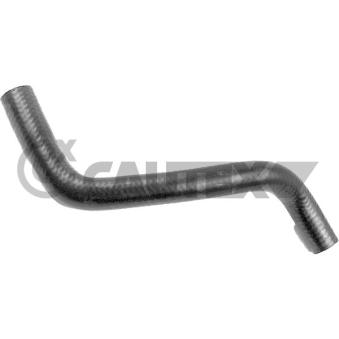 Durite de radiateur CAUTEX [773711]