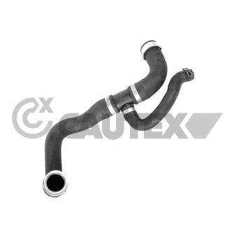 Durite de radiateur CAUTEX 773720
