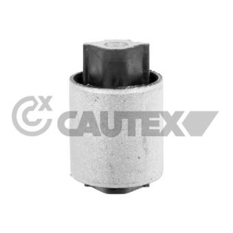 Suspension, corps de l'essieu arrière gauche CAUTEX 773748