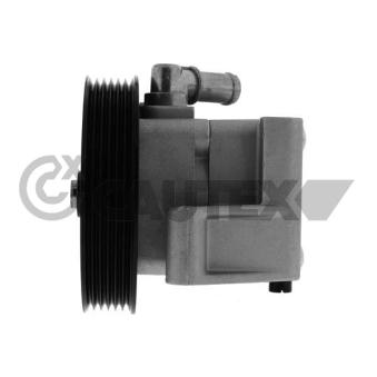 Pompe hydraulique, direction CAUTEX OEM 1306888