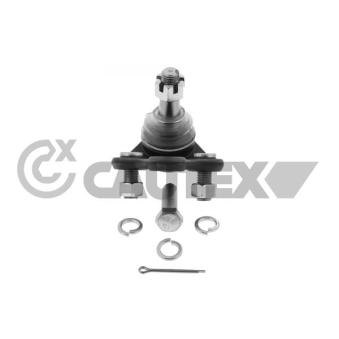 Rotule de suspension CAUTEX OEM 4333029315