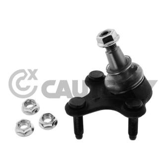 Rotule de suspension avant gauche CAUTEX OEM 3C0407365A