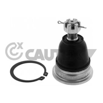Rotule de suspension CAUTEX OEM 401102S485