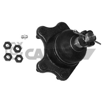 Rotule de suspension CAUTEX OEM 4336039075