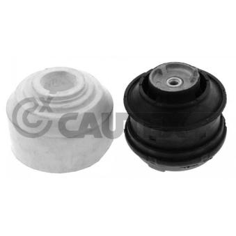 Support moteur CAUTEX OEM 2202400617 Support moteur CAUTEX OEM 2202400617