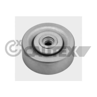 Poulie renvoi/transmission, courroie trapézoïdale à nervures CAUTEX OEM PRF100060