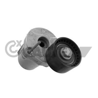 Tendeur, courroie trapézoïdale à nervures CAUTEX OEM 11287800333