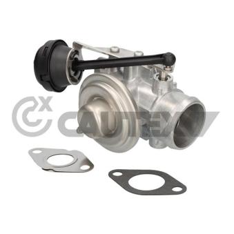 Vanne EGR CAUTEX OEM 045131501