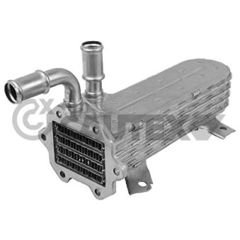 Radiateur, réaspiration des gaz d'échappement CAUTEX OEM 03G131063A