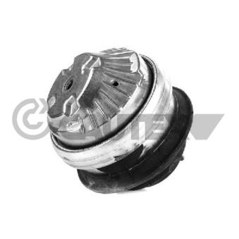Support moteur avant droit CAUTEX OEM 2202401817