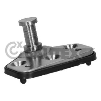 Cale-porte CAUTEX 774843