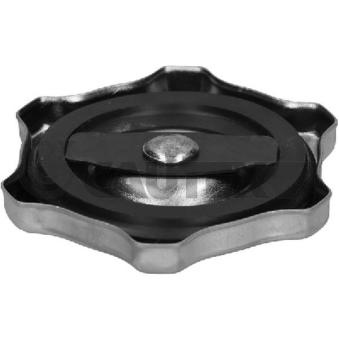 Bouchon, goulotte de remplissage d'huile CAUTEX [774859]