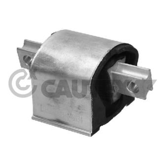 Support moteur CAUTEX 774882