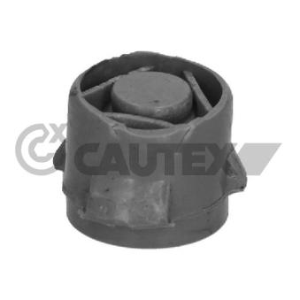 Éléments de fixation, cache moteur CAUTEX 775097