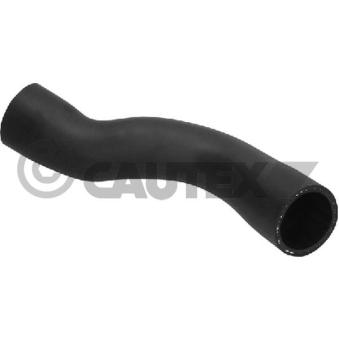 Gaine de suralimentation CAUTEX OEM 4F0145709M