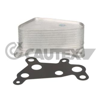 Radiateur d'huile CAUTEX [775214]