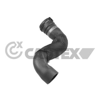 Durite de radiateur CAUTEX 775450