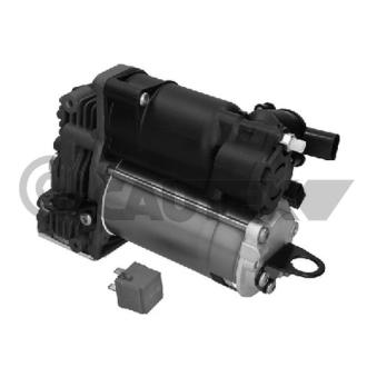Compresseur, système d'air comprimé CAUTEX OEM 2513202704