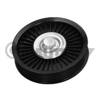 Poulie renvoi/transmission, courroie trapézoïdale à nervures CAUTEX OEM 2528827000