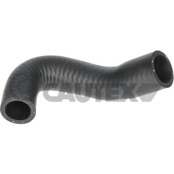Durite de radiateur CAUTEX [775934]