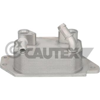 Radiateur d'huile CAUTEX [775977]