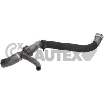 Durite de radiateur CAUTEX [776253]