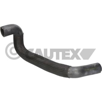 Durite de radiateur CAUTEX [776747]