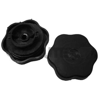 Bouchon, goulotte de remplissage d'huile CAUTEX [954141]