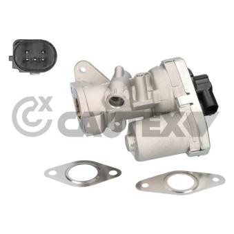 Vanne EGR, commande des gaz d'échappement CAUTEX 960007