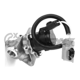 Vanne EGR CAUTEX OEM 1363591