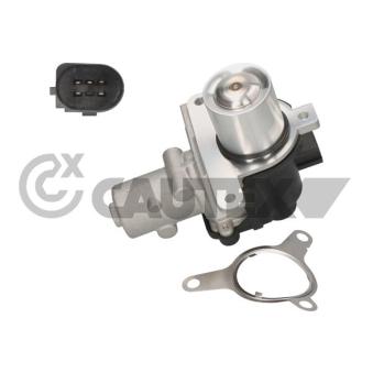 Vanne EGR, commande des gaz d'échappement CAUTEX OEM 8200550348