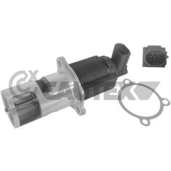 Vanne EGR, commande des gaz d'échappement CAUTEX OEM 8200488774
