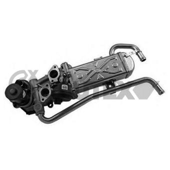 Vanne EGR, commande des gaz d'échappement CAUTEX OEM 3L131512CE