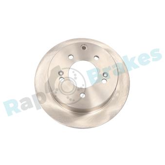 Jeu de 2 disques de frein arrière RAP BRAKES OEM S1010631900