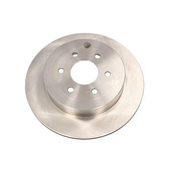 Jeu de 2 disques de frein arrière RAP BRAKES OEM 43206EB300