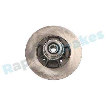 Jeu de 2 disques de frein arrière RAP BRAKES OEM 7701207611