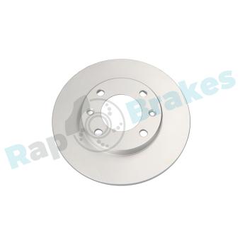 Jeu de 2 disques de frein arrière RAP BRAKES OEM 95661749