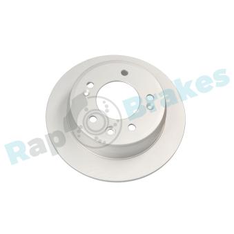 Jeu de 2 disques de frein arrière RAP BRAKES OEM 584111H300