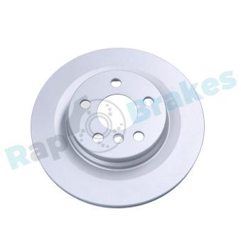 Jeu de 2 disques de frein arrière RAP BRAKES OEM 6799369
