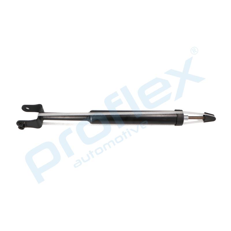 Jeu de 2 amortisseurs arrière PROFLEX PX5-BI798 - Visuel 1