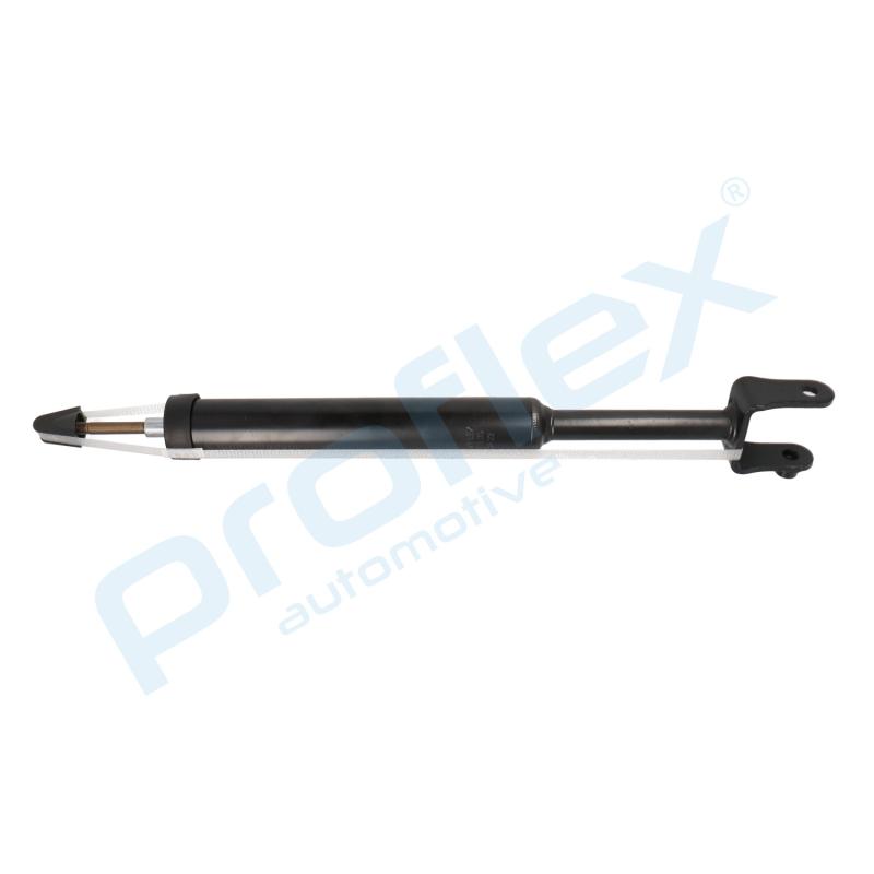 Jeu de 2 amortisseurs arrière PROFLEX PX5-BI798 - Visuel 2
