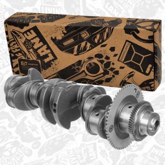 Vilebrequin ET ENGINETEAM [HK0206]