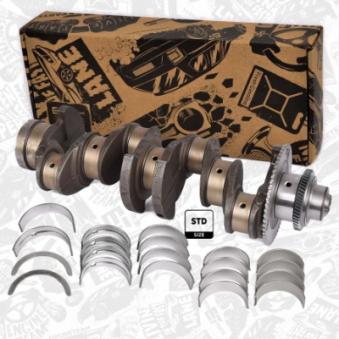 Kit de réparation, vilebrequin ET ENGINETEAM OEM 5801846068