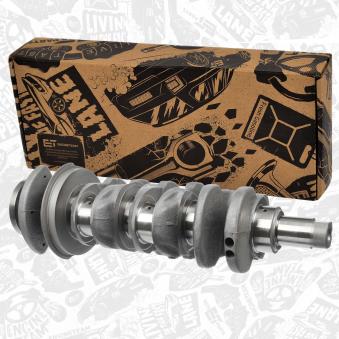 Vilebrequin ET ENGINETEAM [HK0213]