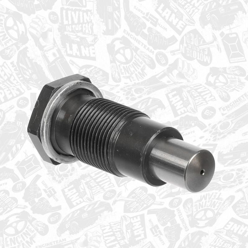 Tendeur, chaîne de distribution ET ENGINETEAM RT0012 - Visuel 2