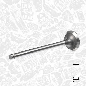 Soupape d'émission ET ENGINETEAM OEM 1023591