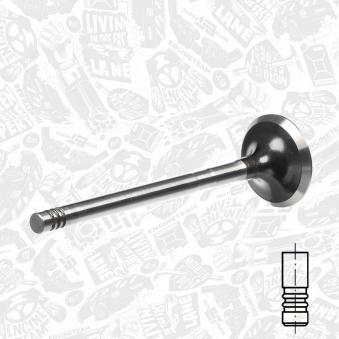 Soupape d'émission ET ENGINETEAM OEM 1033899