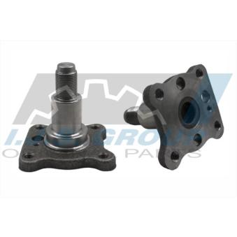 Moyeu de roue arrière IJS GROUP [10-2034]